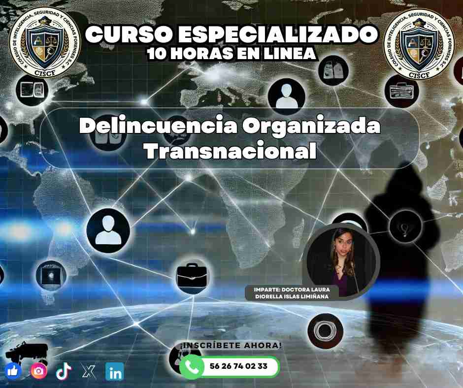 WhatsApp Image 2024-08-29 at 12.15.29 AM