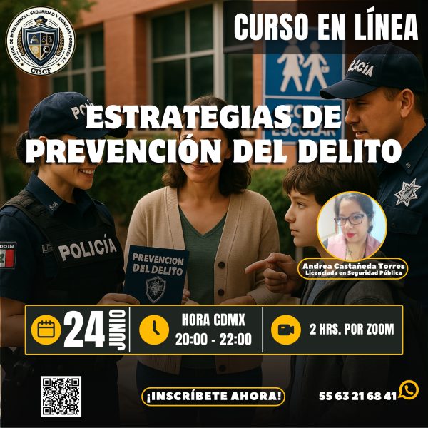 Estrategias de Prevención del Delito - Colegio de Inteligencia ...