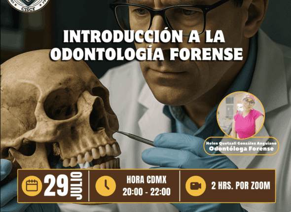 Captura de pantalla 2025-07-28 a las 10.22.11 p. m.