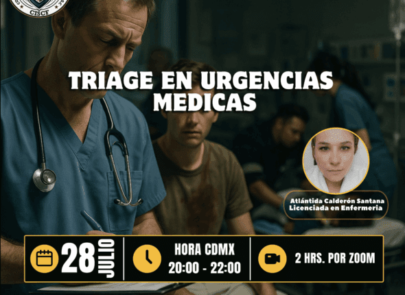 Captura de pantalla 2025-07-28 a las 11.02.33 p. m.