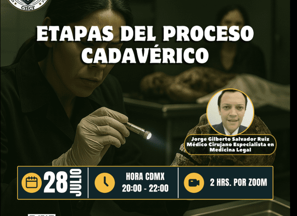 Captura de pantalla 2025-07-28 a las 12.02.20 a. m.