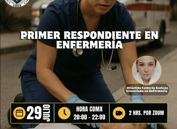 Captura de pantalla 2025-07-28 a las 9.13.12 p. m.