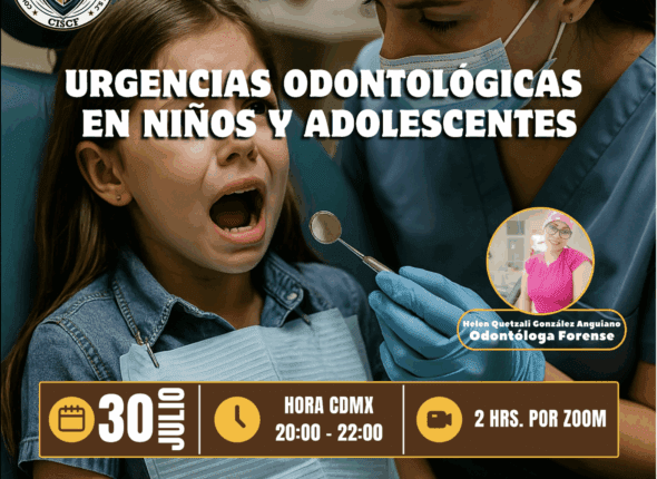 Captura de pantalla 2025-07-31 a las 2.27.06 a. m.