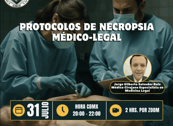 Captura de pantalla 2025-08-01 a las 1.29.18 a. m.