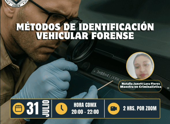 Captura de pantalla 2025-08-01 a las 1.41.24 a. m.