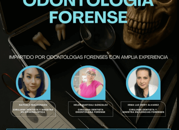 Captura de pantalla 2025-08-09 a las 4.15.16 p. m.