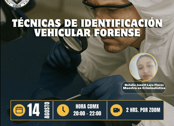 Captura de pantalla 2025-08-14 a las 12.00.41 a. m.