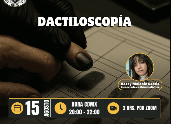 Captura de pantalla 2025-08-18 a las 1.45.35 a. m.