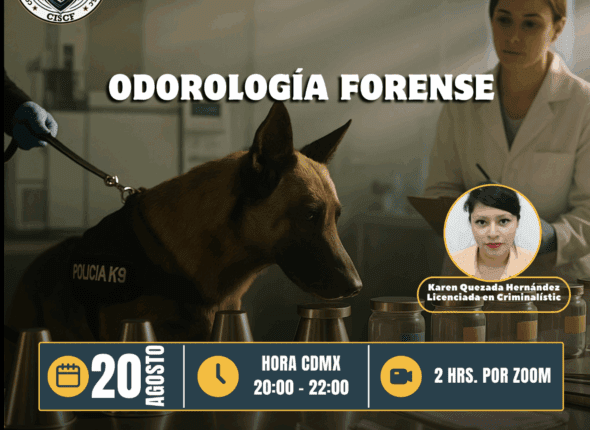 Captura de pantalla 2025-08-21 a las 1.51.22 a. m.