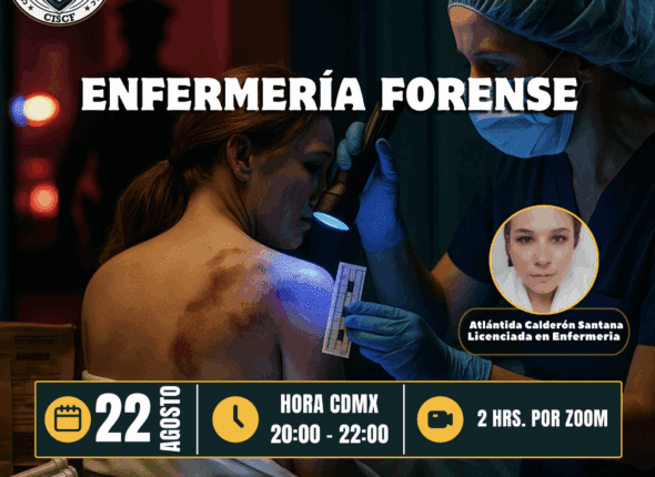 Captura de pantalla 2025-08-21 a las 11.51.23 p. m.