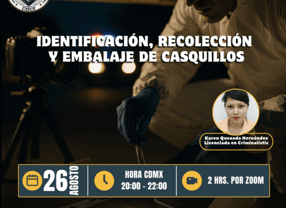 Captura de pantalla 2025-08-27 a las 4.27.04 p. m.