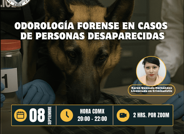 Captura de pantalla 2025-09-06 a las 4.01.36 p. m.