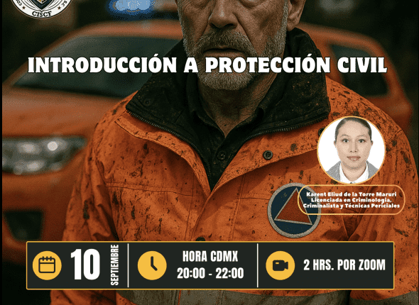 Captura de pantalla 2025-09-11 a las 9.39.01 p. m.