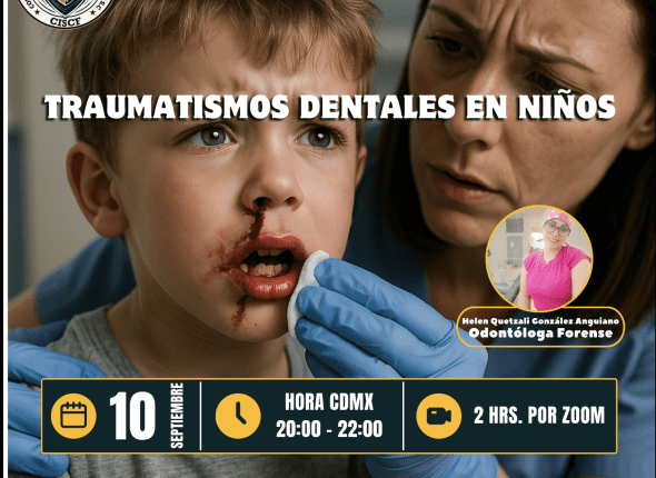 Captura de pantalla 2025-09-11 a las 9.40.50 p. m.