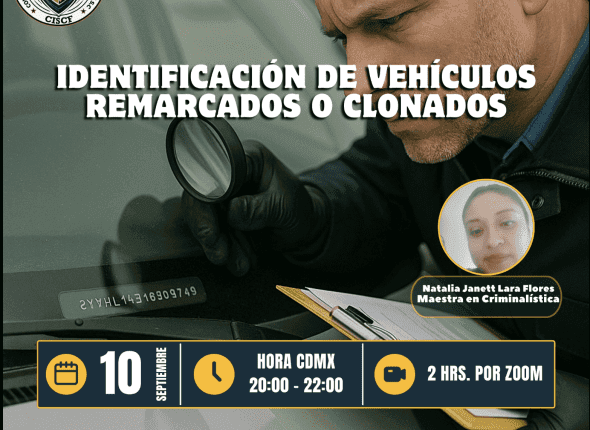 Captura de pantalla 2025-09-11 a las 9.42.51 p. m.