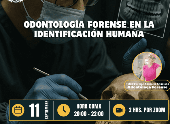 Captura de pantalla 2025-09-12 a las 1.01.29 a. m.