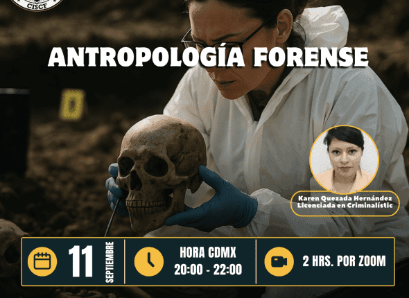 Captura de pantalla 2025-09-12 a las 1.07.05 a. m.