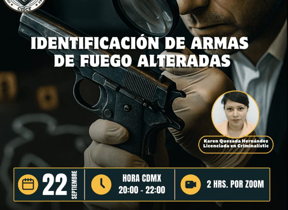 Captura de pantalla 2025-09-21 a las 11.41.57 p. m.