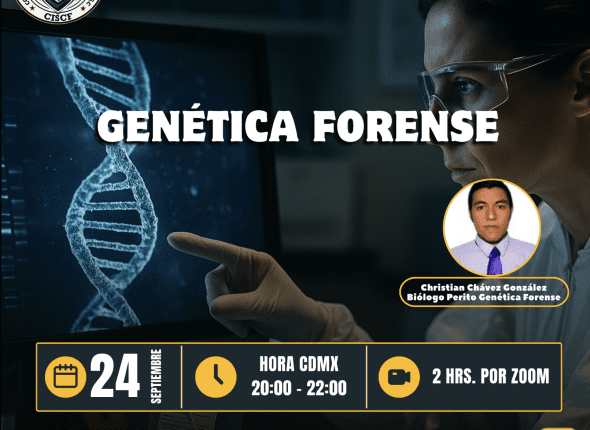 Captura de pantalla 2025-09-24 a las 8.56.16 p. m.