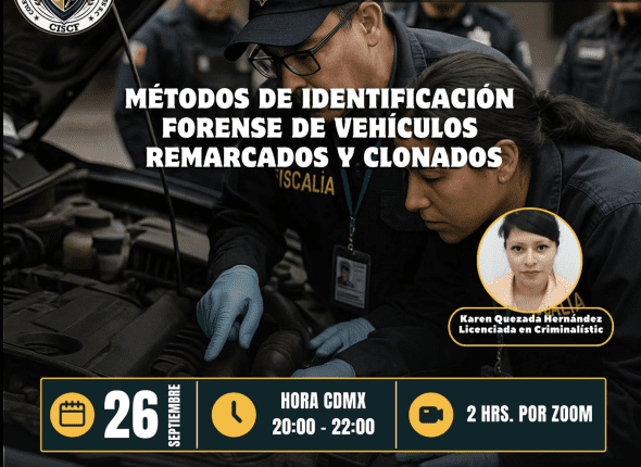 Captura de pantalla 2025-09-28 a las 11.19.44 p. m.