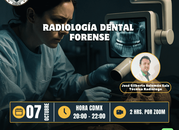 Captura de pantalla 2025-10-08 a las 3.45.42 p. m.