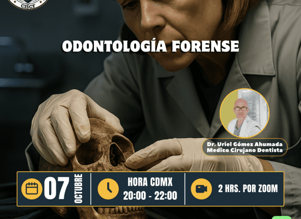 Captura de pantalla 2025-10-08 a las 3.47.26 p. m.