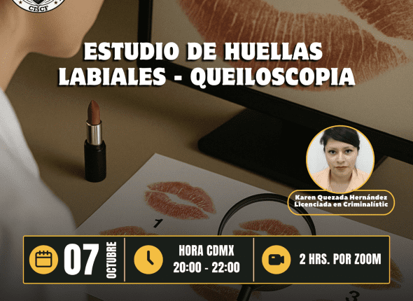 Captura de pantalla 2025-10-08 a las 3.57.31 p. m.