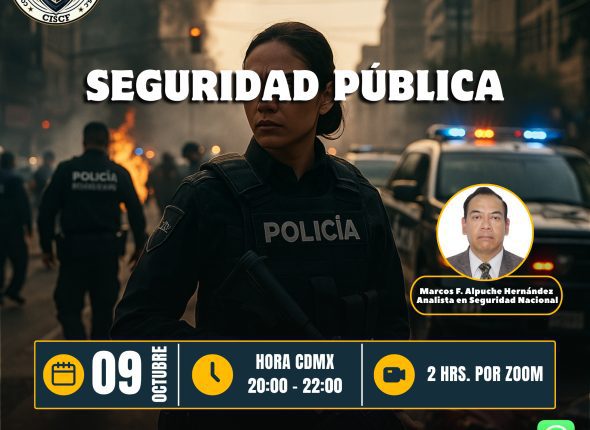 Seguridad Pública
