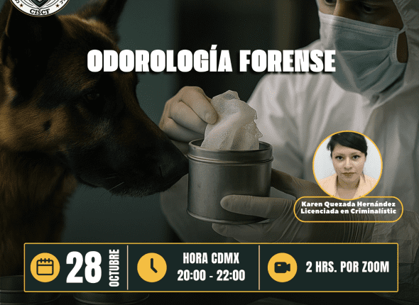 Captura de pantalla 2025-11-01 a las 4.33.42 a. m.