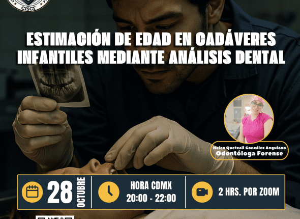 Captura de pantalla 2025-11-01 a las 4.36.03 a. m.