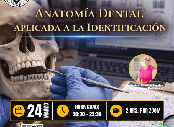 Anatomía Dental Aplicada a la Identificación