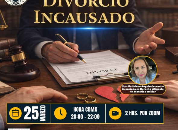 Divorcio Incausado