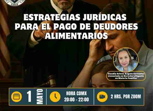 Estrategias Jurídicas para el Pago de Deudores Alimentarios