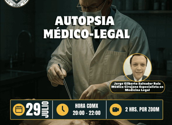 Captura de pantalla 2025-07-28 a las 10.24.31 p. m.