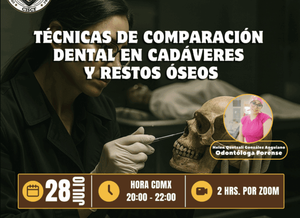 Captura de pantalla 2025-07-28 a las 10.50.42 p. m.