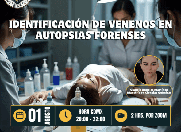 Captura de pantalla 2025-08-04 a las 8.23.34 p. m.