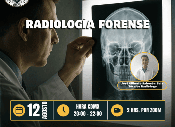 Captura de pantalla 2025-08-12 a las 8.37.55 p. m.