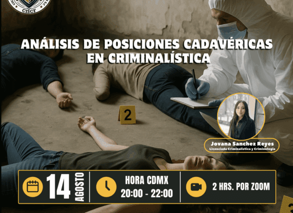 Captura de pantalla 2025-08-13 a las 5.08.51 a. m.