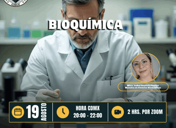 Captura de pantalla 2025-08-20 a las 1.28.17 a. m.