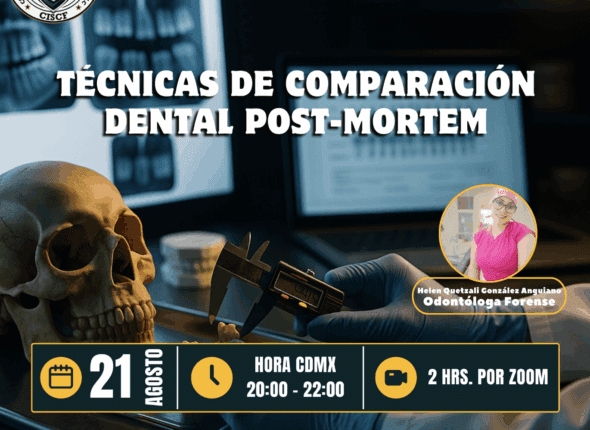 Captura de pantalla 2025-08-21 a las 11.01.25 p. m.