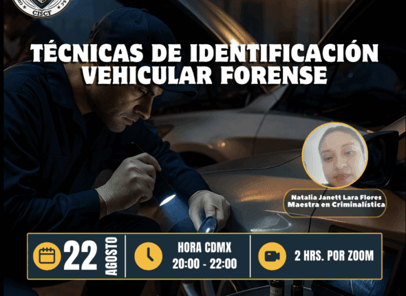 Captura de pantalla 2025-08-23 a las 11.15.49 a. m.