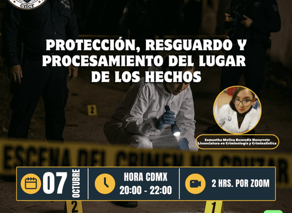 Captura de pantalla 2025-10-08 a las 3.55.41 p. m.