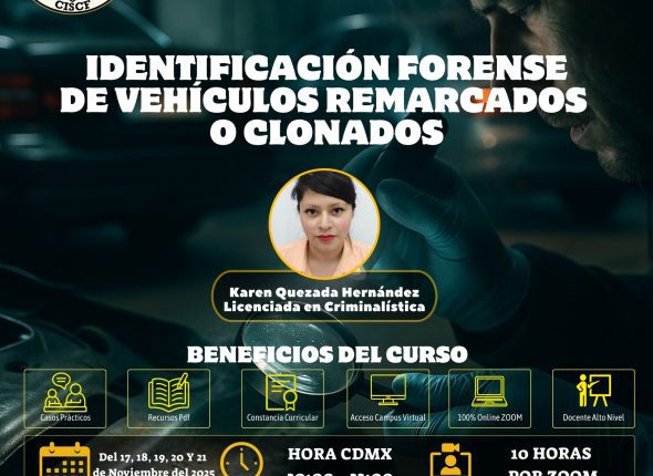 vehiculo