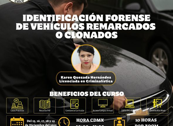 vehiculos
