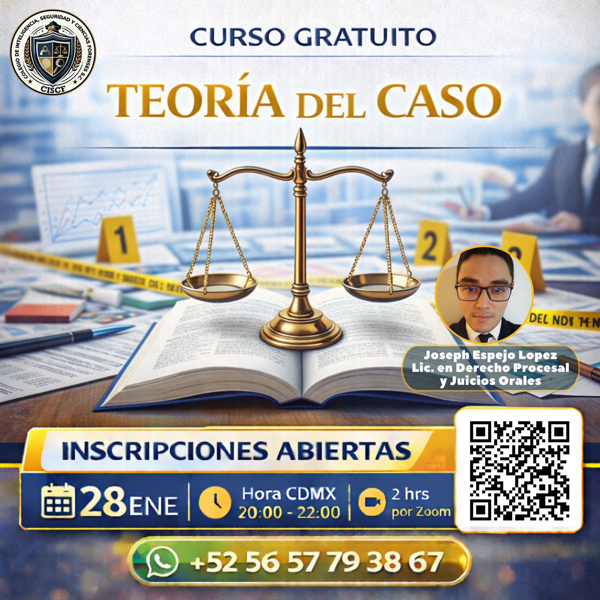Teoría del Caso