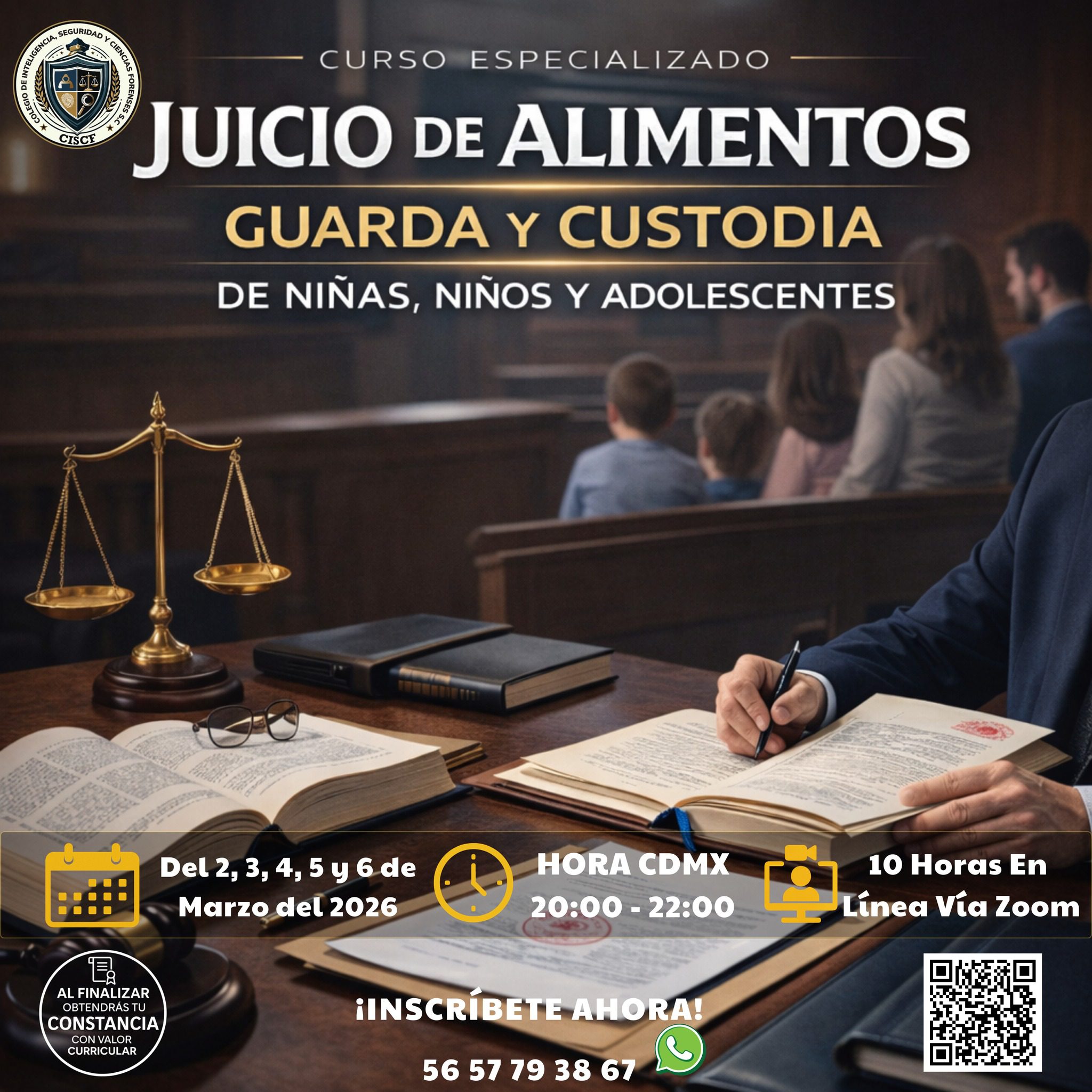 Juicio de Alimentos, Guarda y Custodia de Niñas, Niños y Adolescentes conforme al CNPCyF (10 Hrs)15G