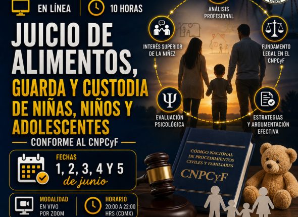 Juicio de Alimentos, Guarda y Custodia de Niñas, Niños y Adolescentes conforme al CNPCyF (10 Hrs)18G