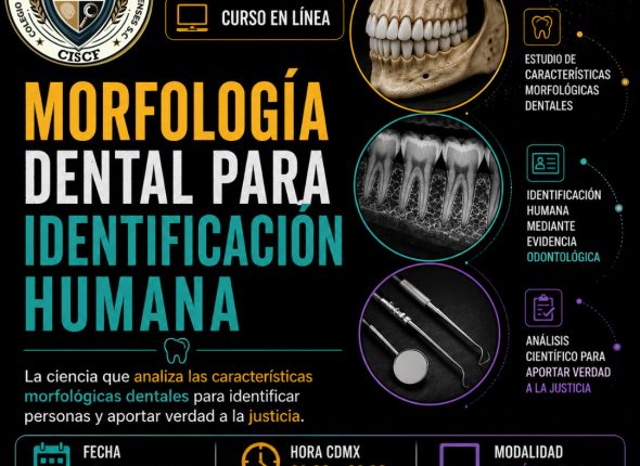 morfología dental para identificación humana