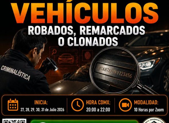 vehiculo