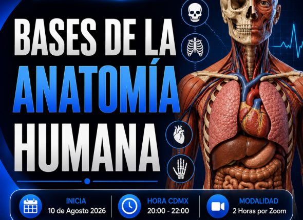 _bases de la anatomía humana
